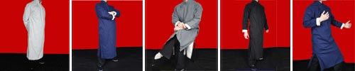 Kung Fu Long Coat